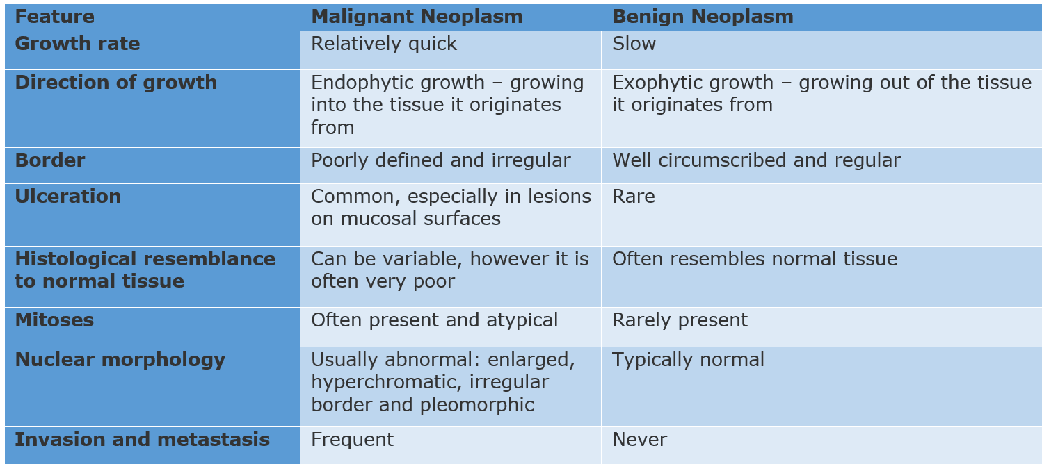 Benign Vs Malignant Neoplasms SimpleMed