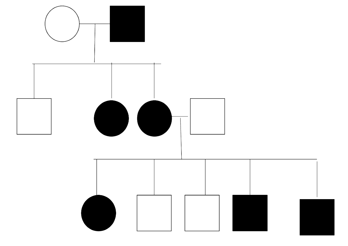 X-Linked Dominant Pedigree Chart SimpleMed