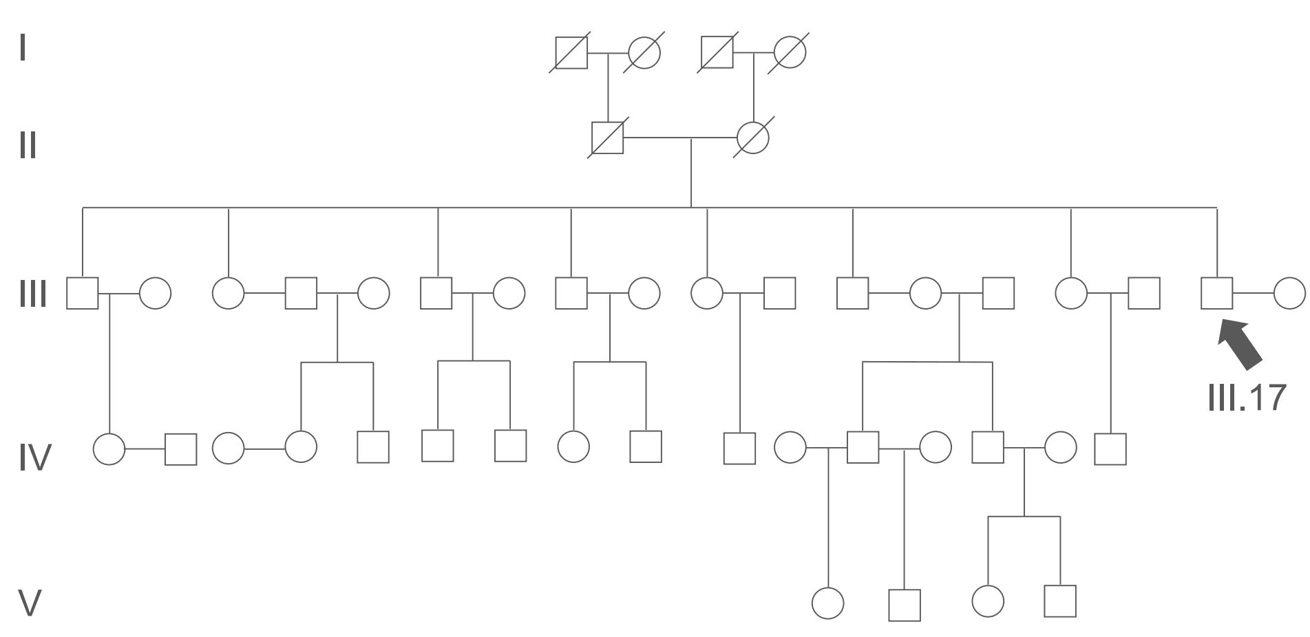 Pedigree Chart Example SimpleMed