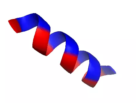 Alpha Helix Protein SimpleMed