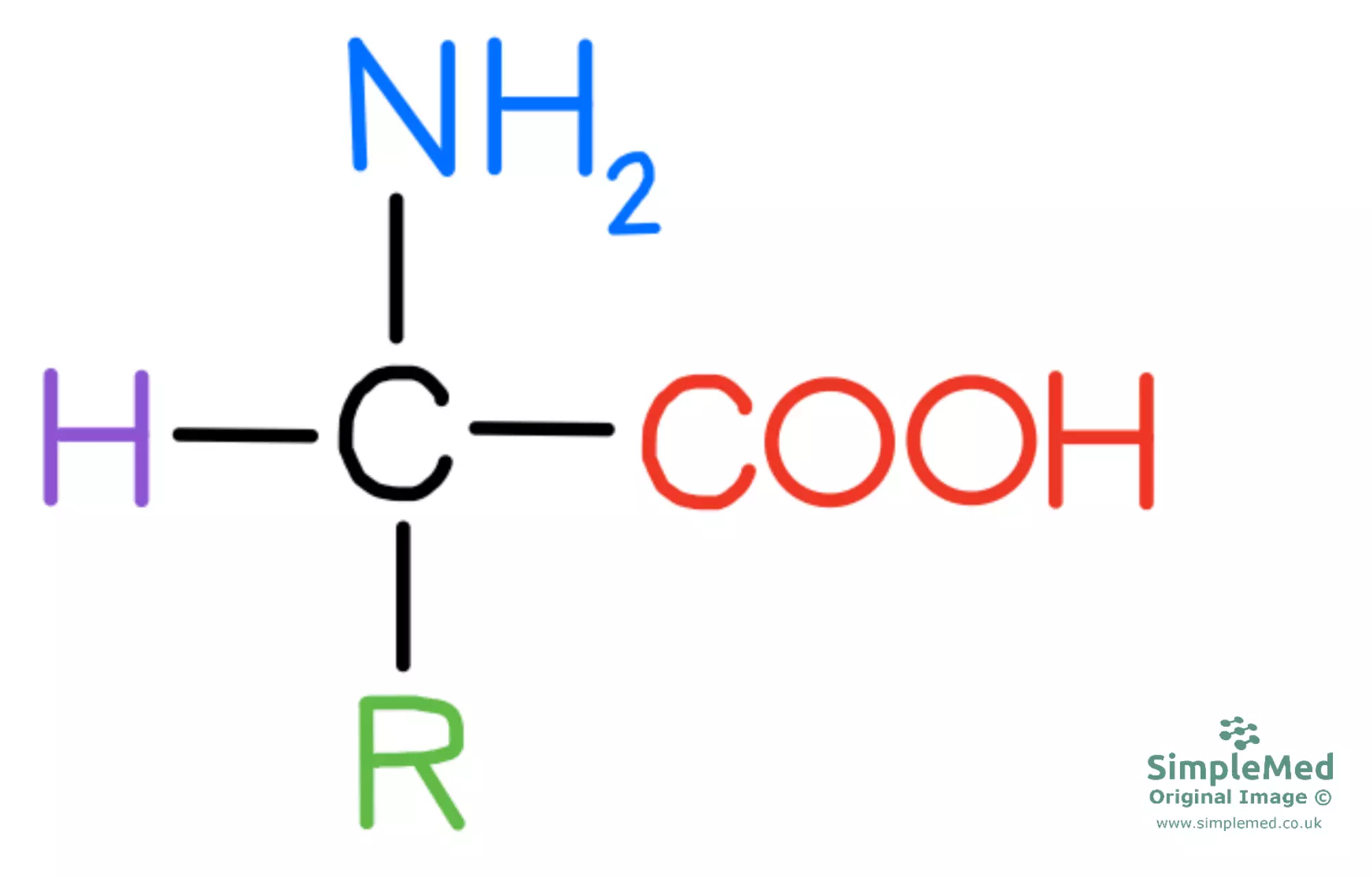 Amino Acid Diagram SimpleMed