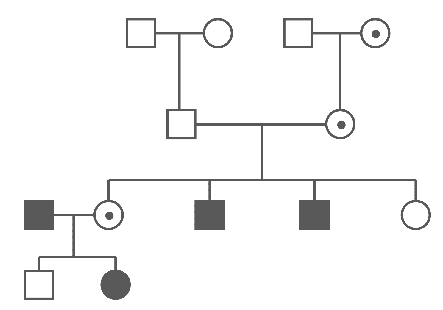 X-Linked Recessive Pedigree Chart SimpleMed
