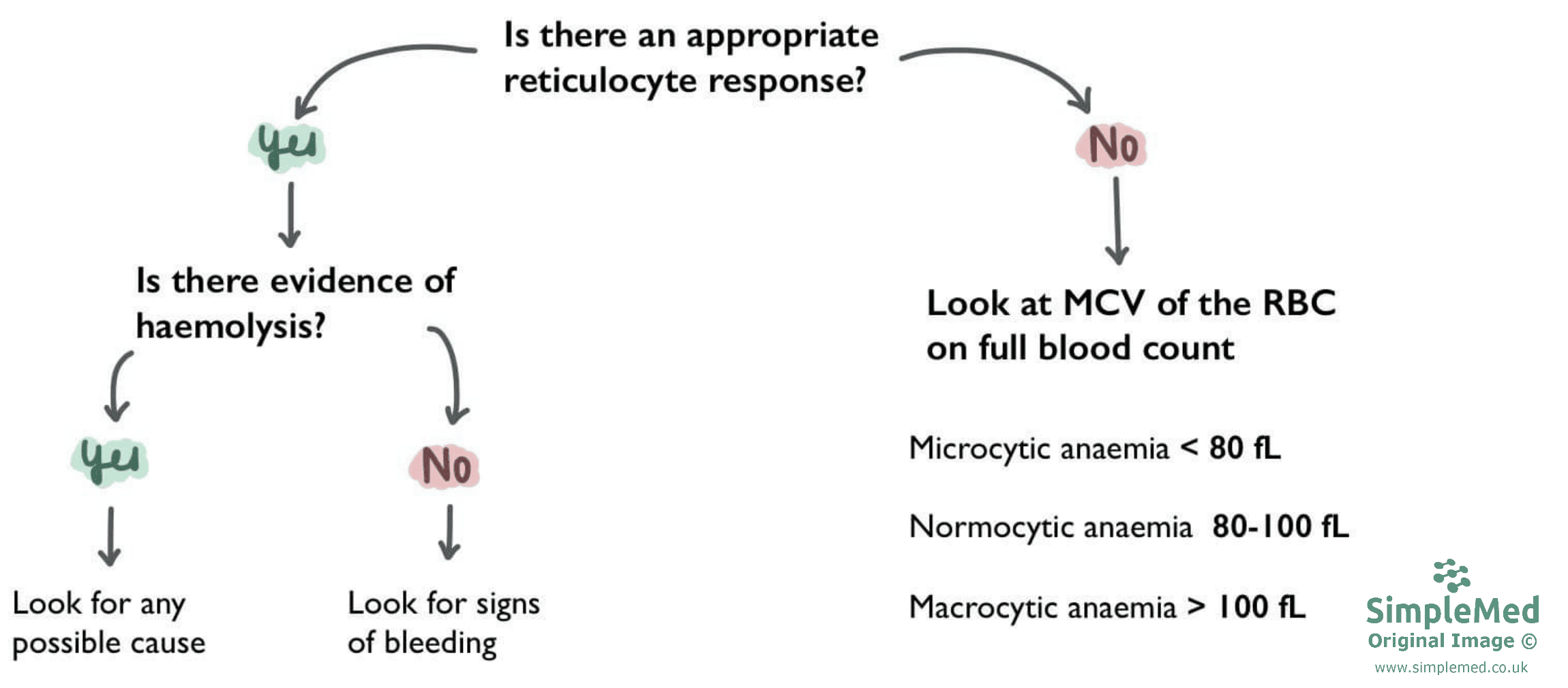 Classification of Anaemia Diagram SimpleMed