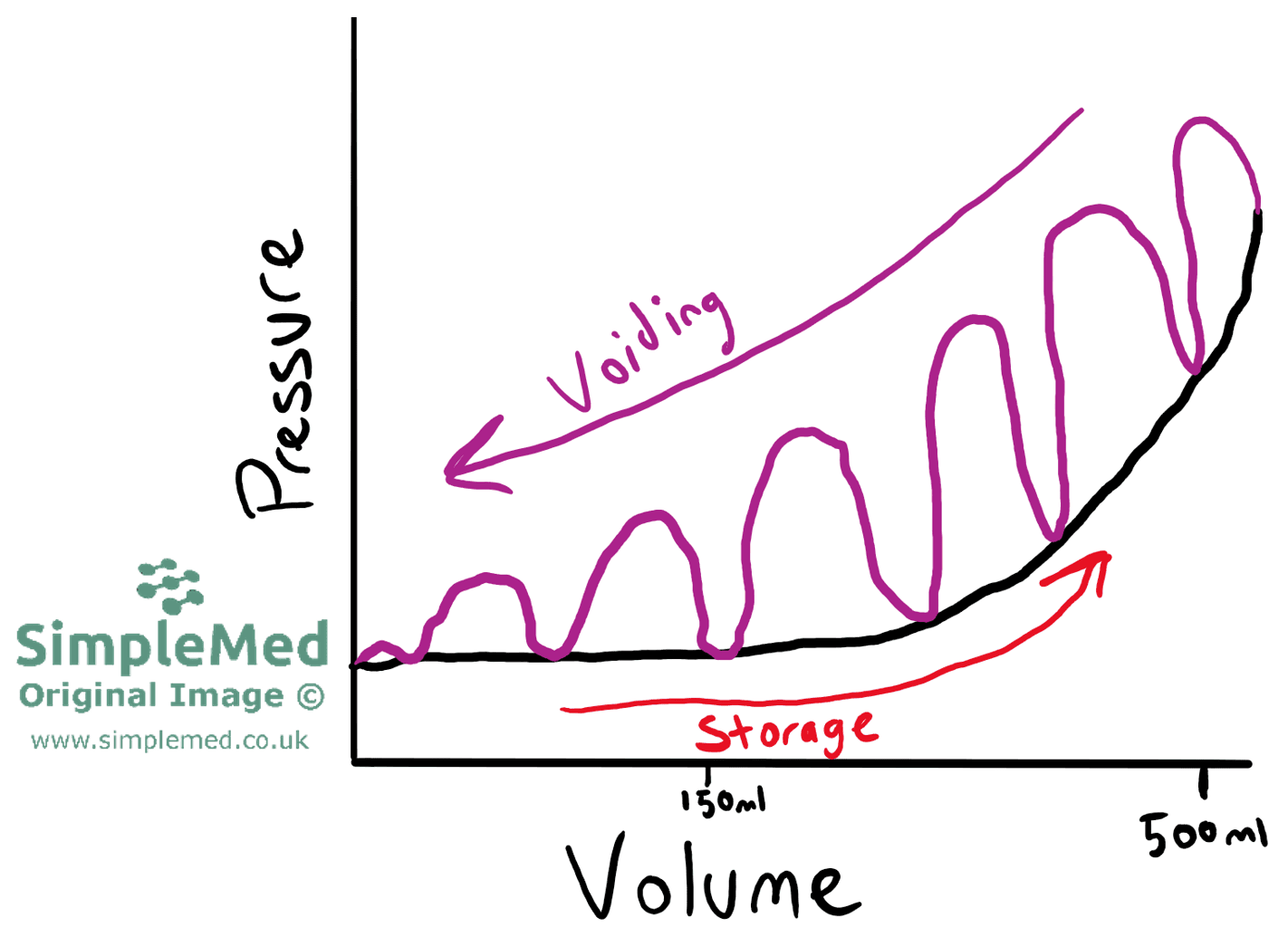 Bladder Volume vs Pressure SimpleMed
