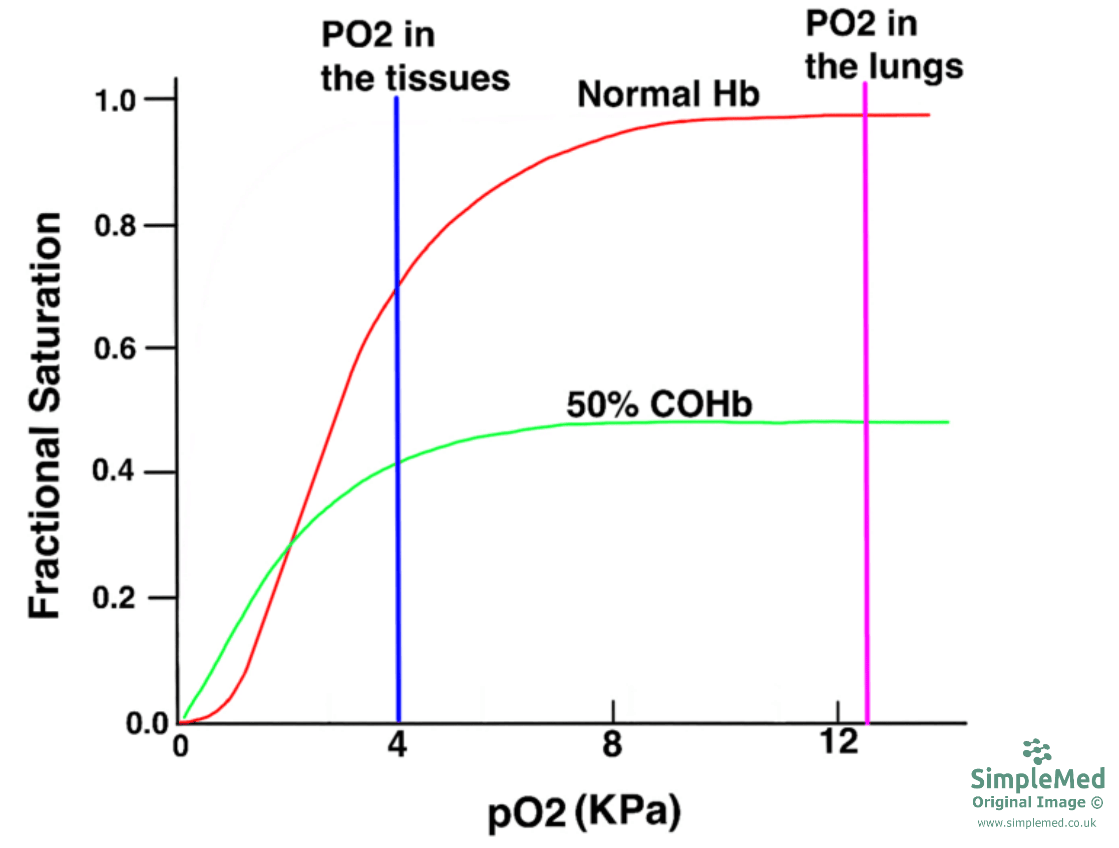 Carbon Monoxide Effect on Haemoglobin Graph SimpleMed