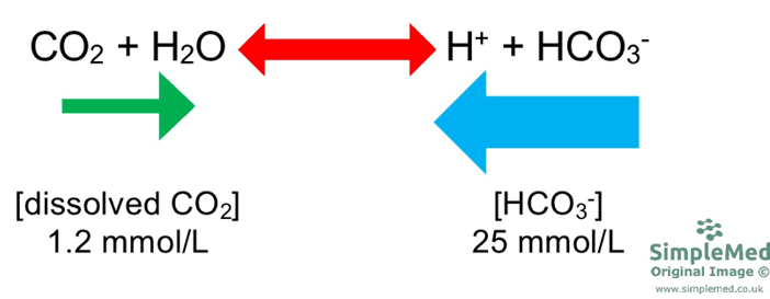 Equation Showing Concentration of Hydrogen Carbonate SimpleMed