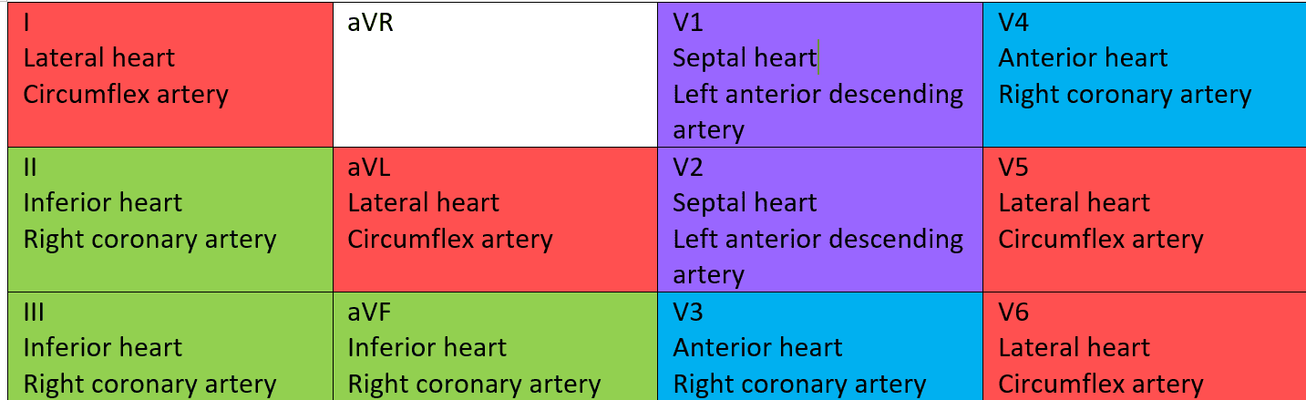 Coronary Arteries and their corresponding lead SimpleMed