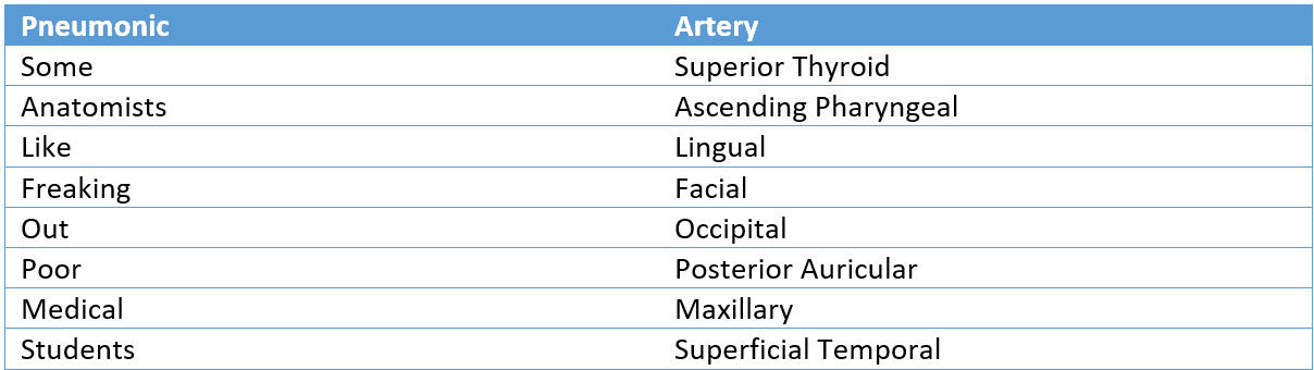 External Carotid Artery Mnemonic SimpleMed