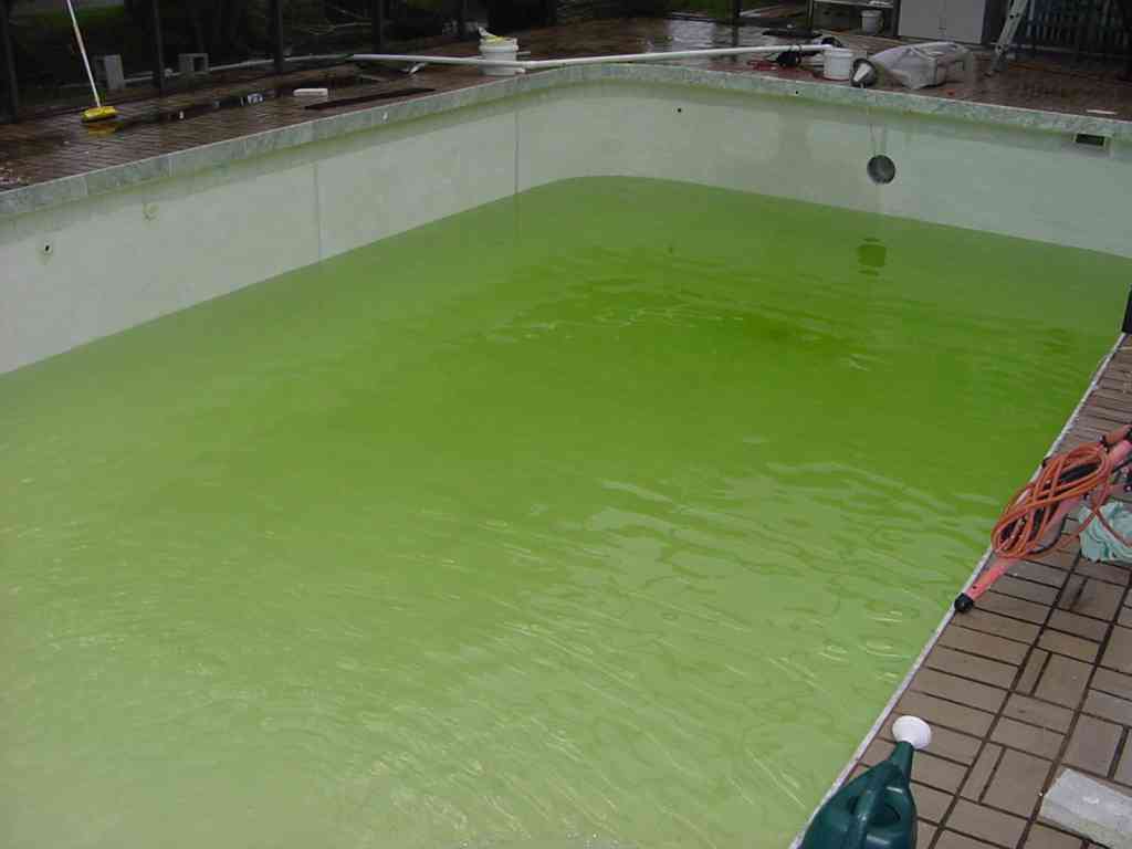 Unchlorinated Swimming Pool, a prime site for infection SimpleMed