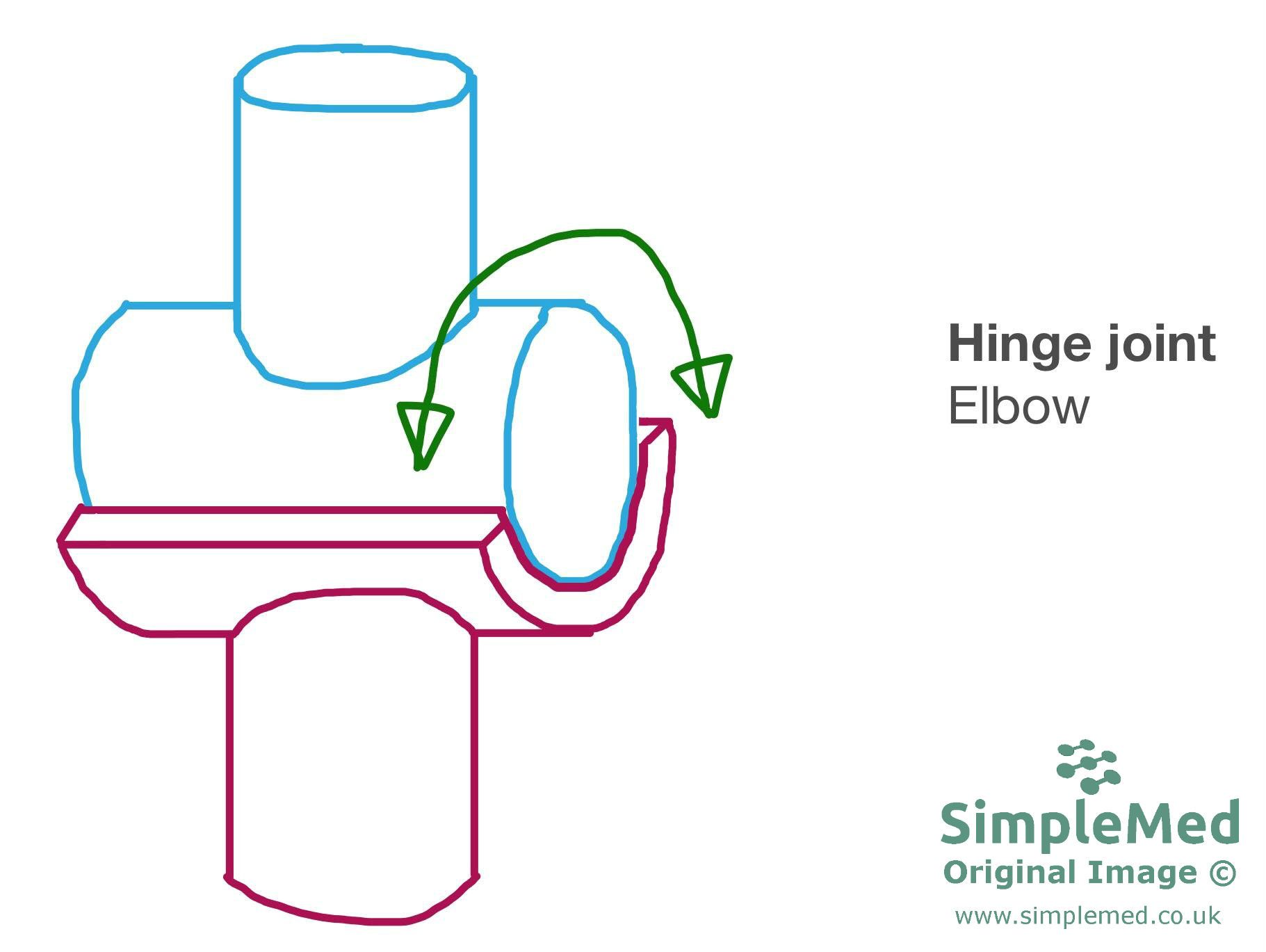 Hinge Joint SimpleMed