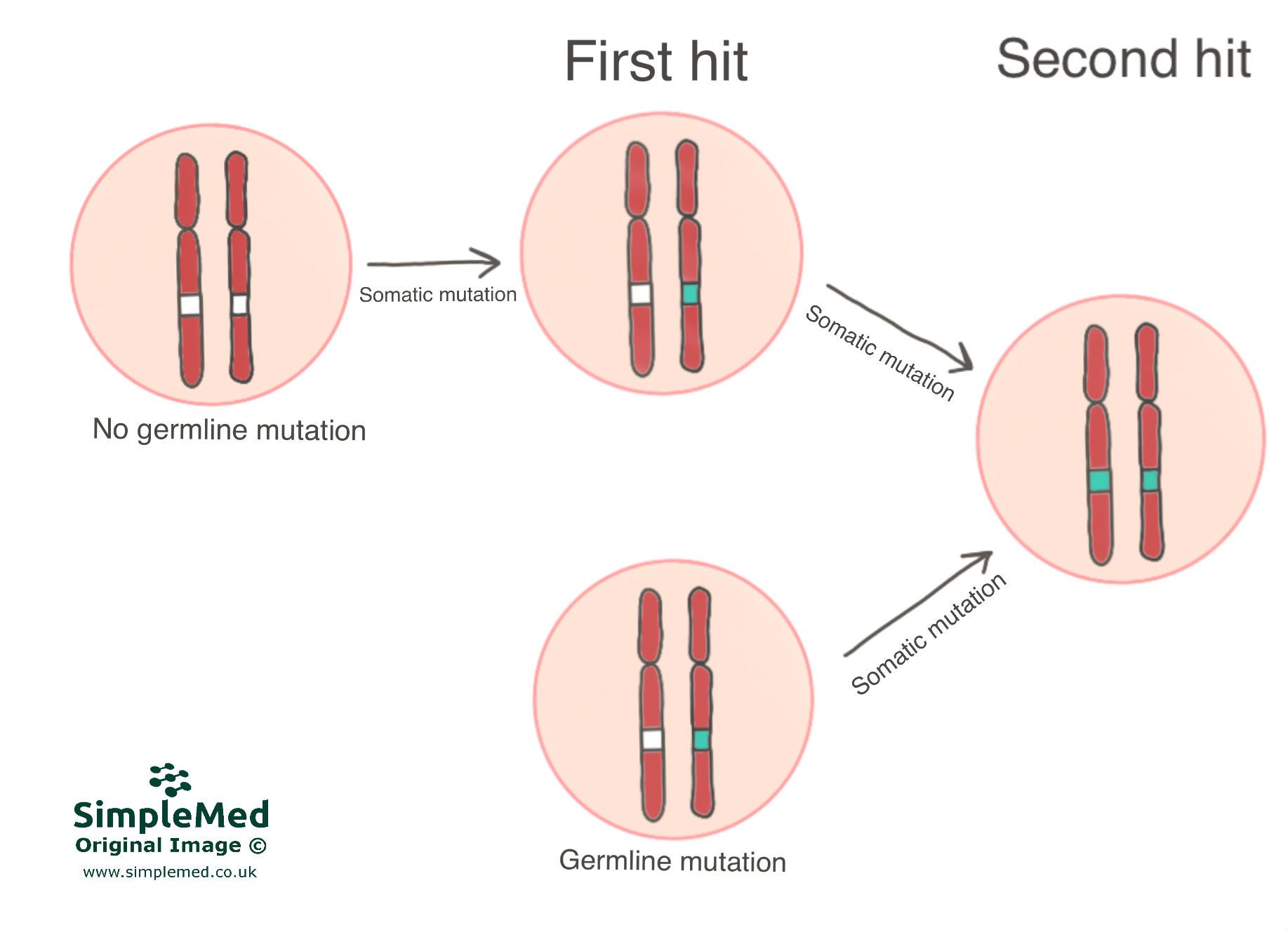 Pathology Simplemed Learning Medicine Simplified