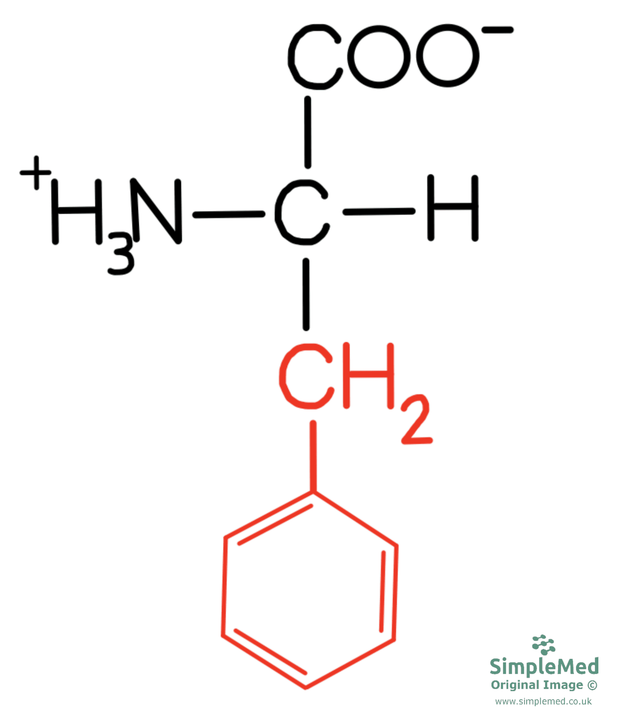 Phenylalanine Diagram SimpleMed