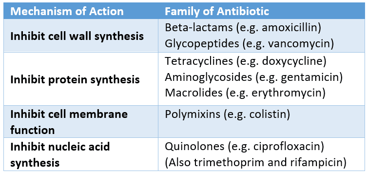 Antibiotic Families SimpleMed