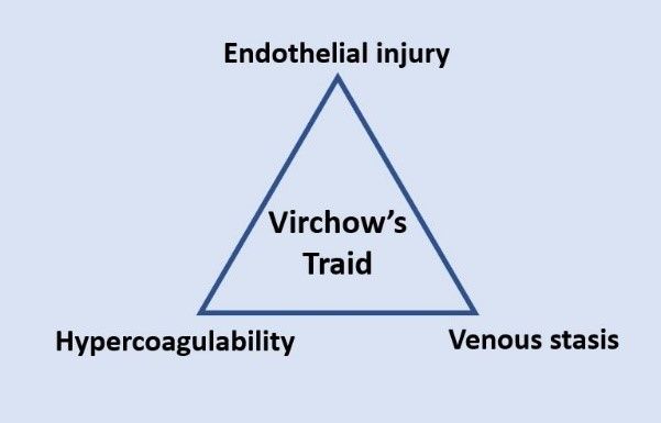 Virchow's Triad SimpleMed