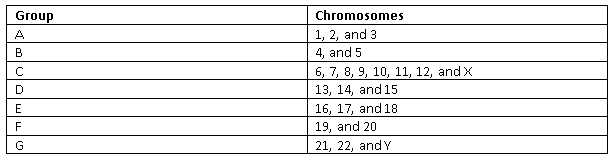 Grouping of Chromosomes SimpleMed