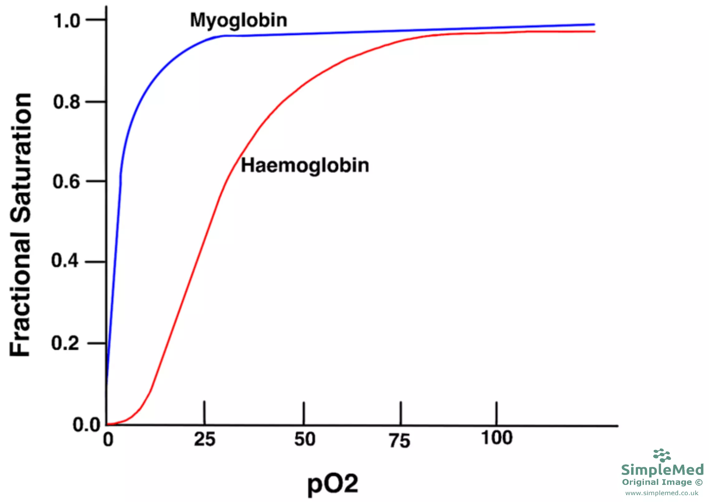 Haemoglobin and Myoglobin Oxygen Disassociation Curve SimpleMed