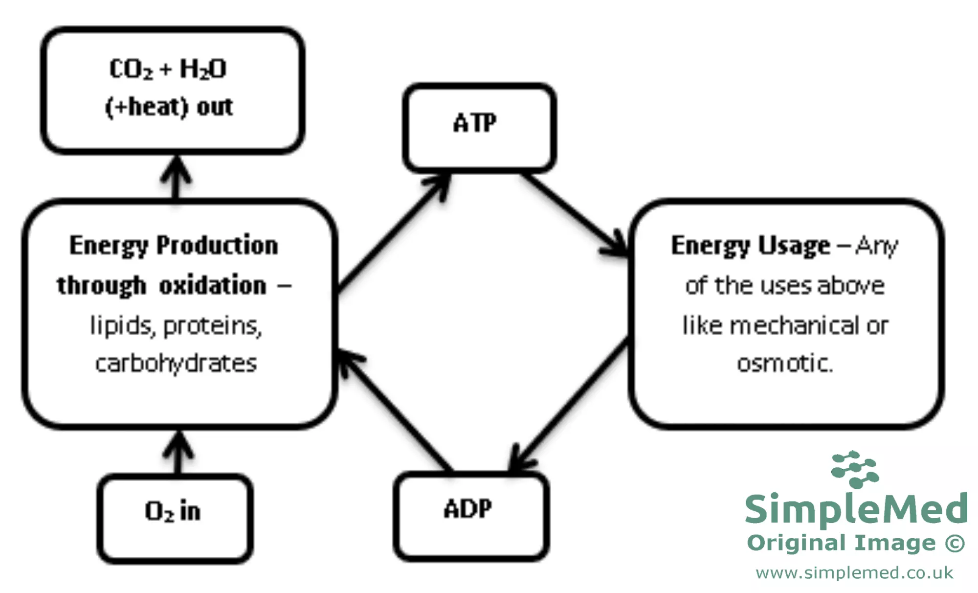 ATP-ADP REDOX conversion cycle diagram SimpleMed