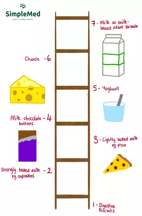 Milk Ladder SimpleMed