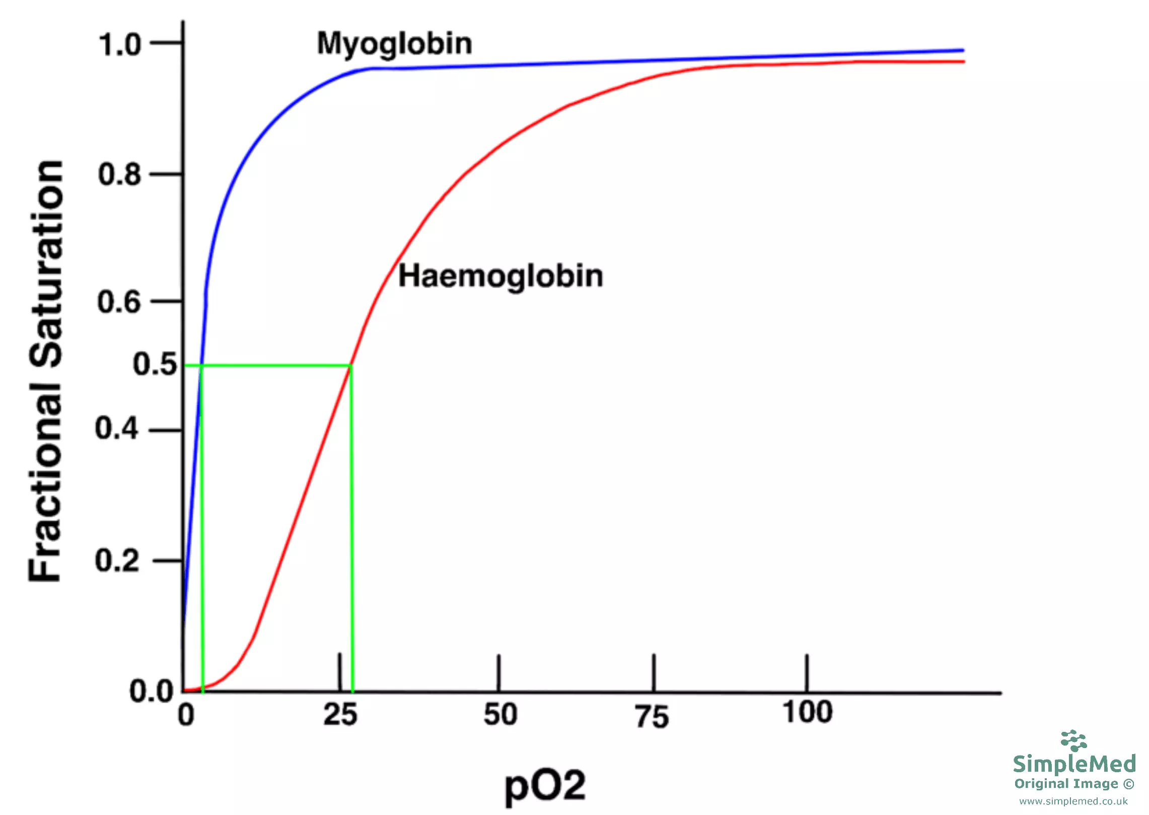 Haemoglobin and Myoglobin Oxygen Disassociation Curve SimpleMed