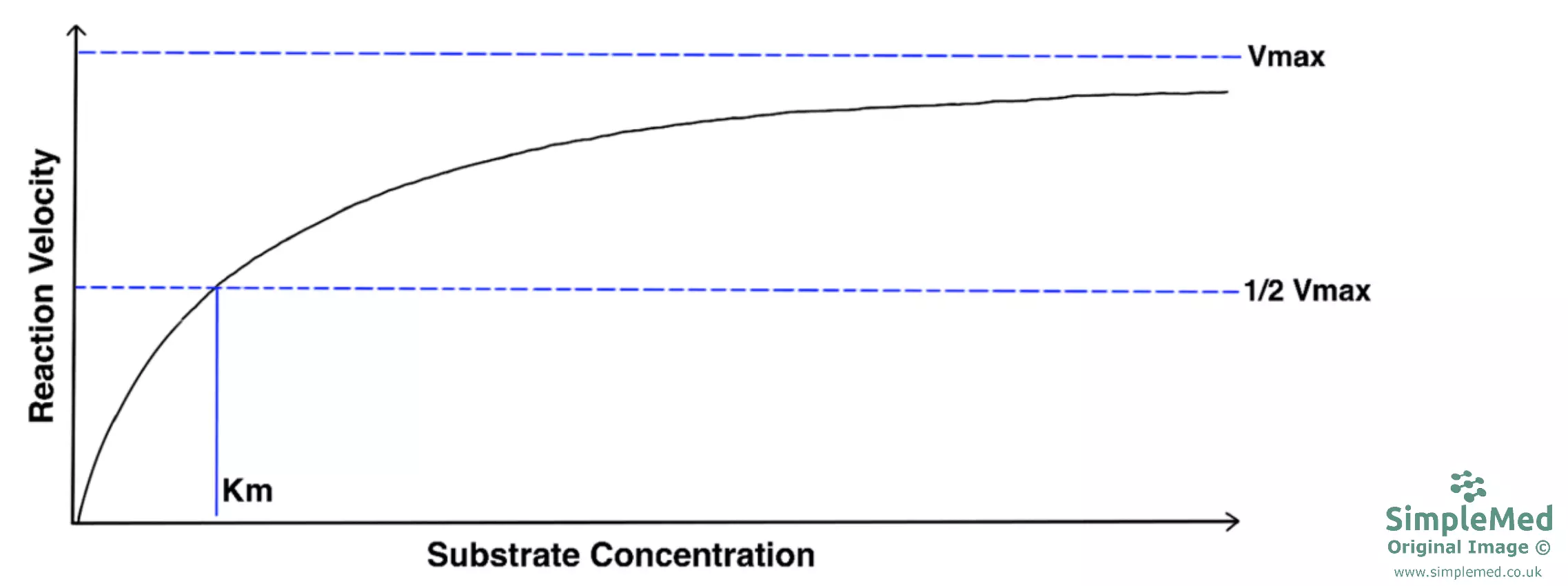 Graph of Reaction Velocity Versus Substrate Concentrate SimpleMed