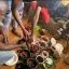 The most powerful spiritual herbalist Native Doctor in Nigeria +2349169497945