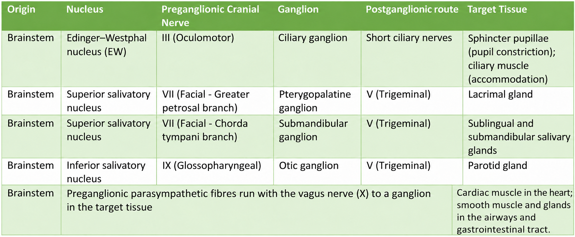 Cranial parasympathetic pathways and target tissues Table of cranial parasympathetic nuclei, nerves, ganglia and targets, distinguishing pupil constriction, accommodation and cardiac muscle