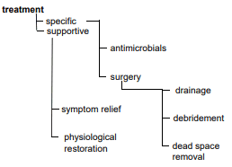 Treatment of Infection Model SimpleMed