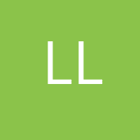 LemiaMtMX LemiaMtMX